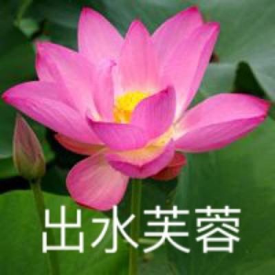 御天剑道gm版下载